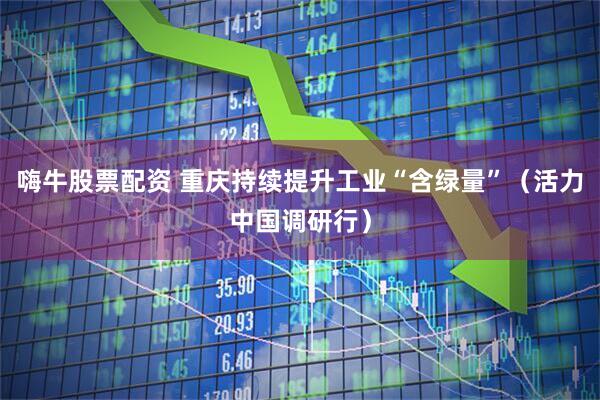嗨牛股票配资 重庆持续提升工业“含绿量”（活力中国调研行）