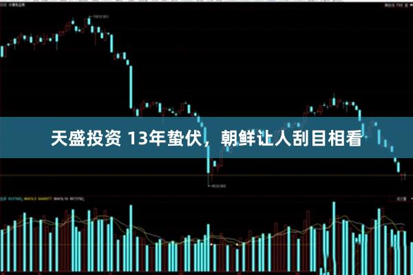 天盛投资 13年蛰伏，朝鲜让人刮目相看