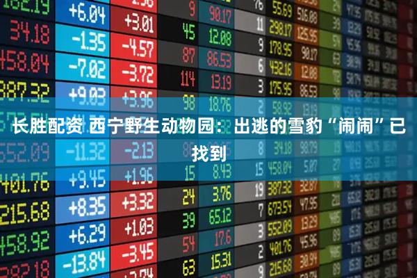 长胜配资 西宁野生动物园：出逃的雪豹“闹闹”已找到