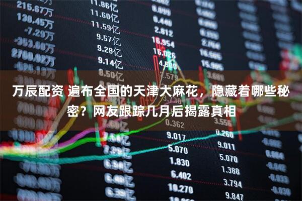 万辰配资 遍布全国的天津大麻花，隐藏着哪些秘密？网友跟踪几月后揭露真相