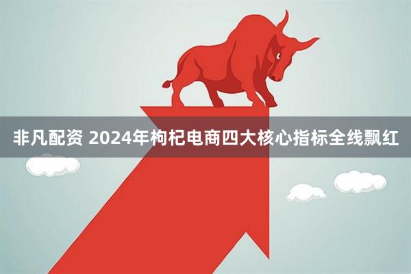 非凡配资 2024年枸杞电商四大核心指标全线飘红